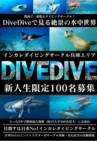 DIVEDIVE➀